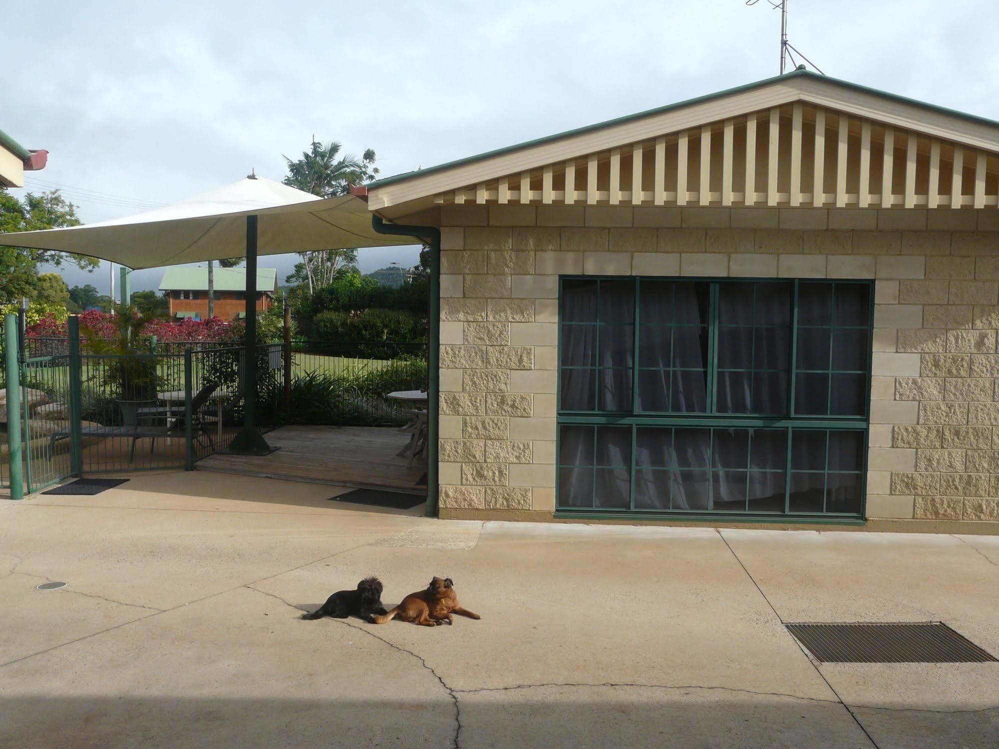 Curtain Fig Motel Yungaburra Exterior foto